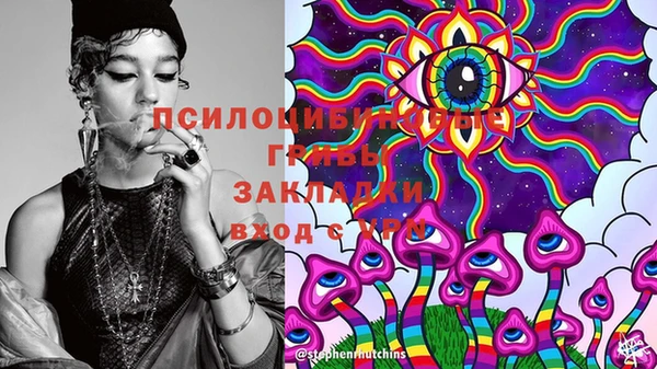 твердый Богородицк