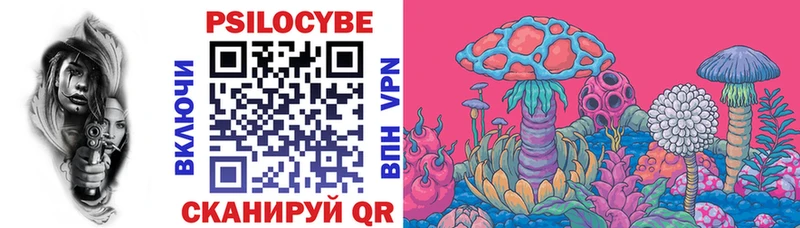 Купить закладки  Большой Камень  Галлюциногенные грибы Psilocybe 